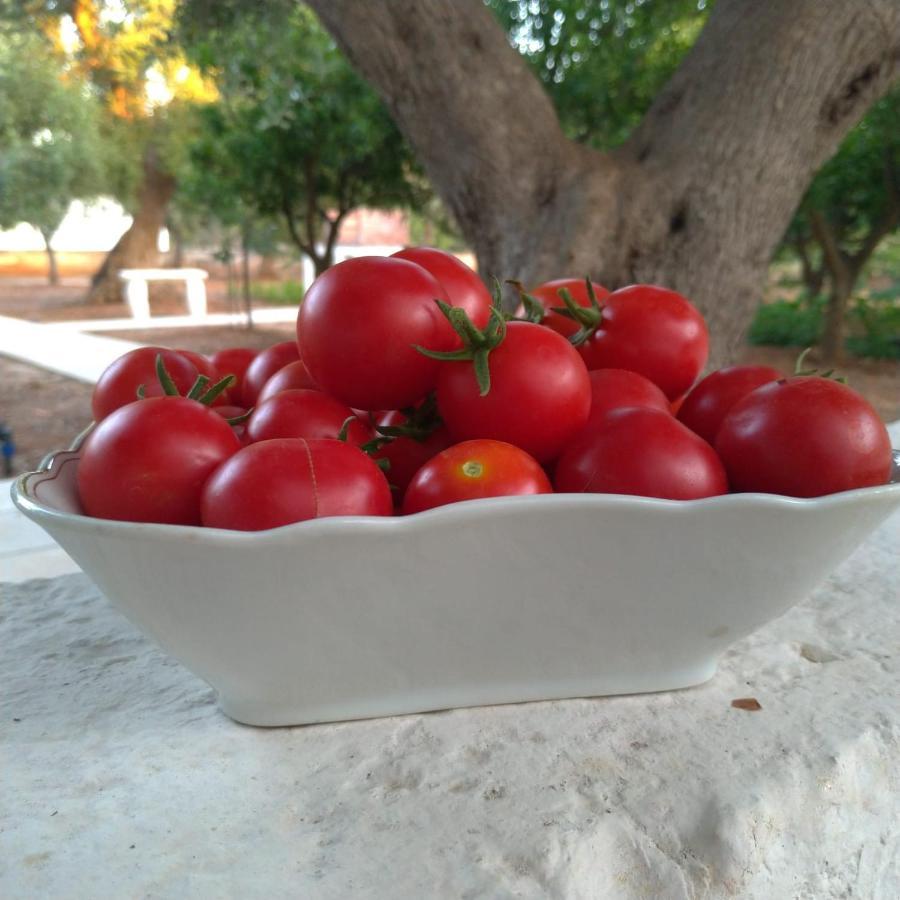 Dimora Torre Bianca Βίλα Ostuni Εξωτερικό φωτογραφία