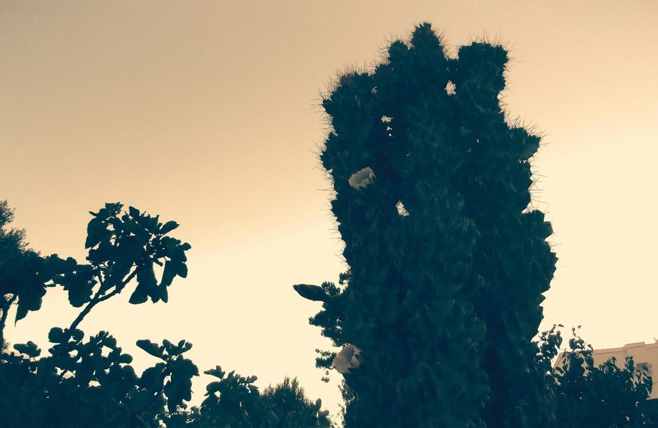 Dimora Torre Bianca Βίλα Ostuni Εξωτερικό φωτογραφία
