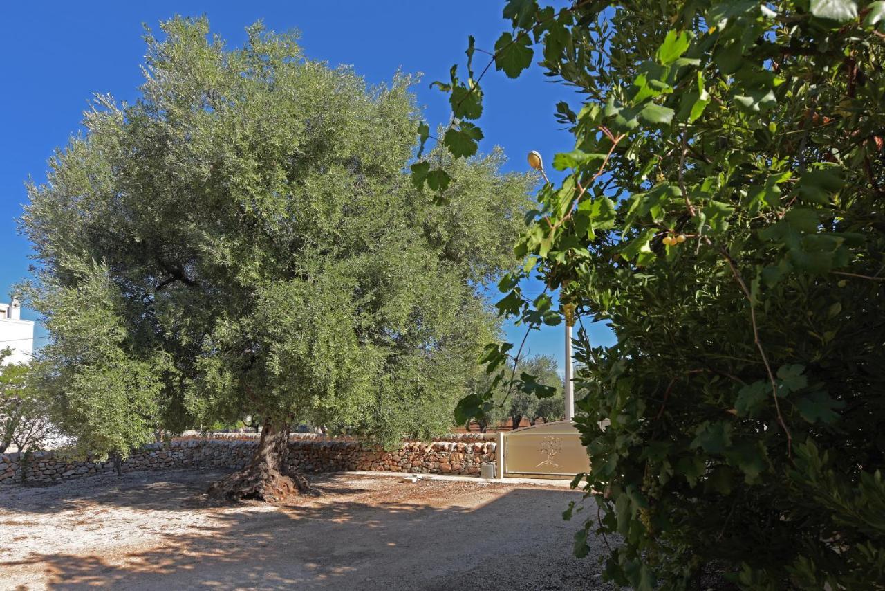 Dimora Torre Bianca Βίλα Ostuni Εξωτερικό φωτογραφία