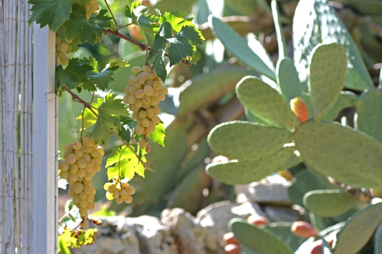 Dimora Torre Bianca Βίλα Ostuni Εξωτερικό φωτογραφία