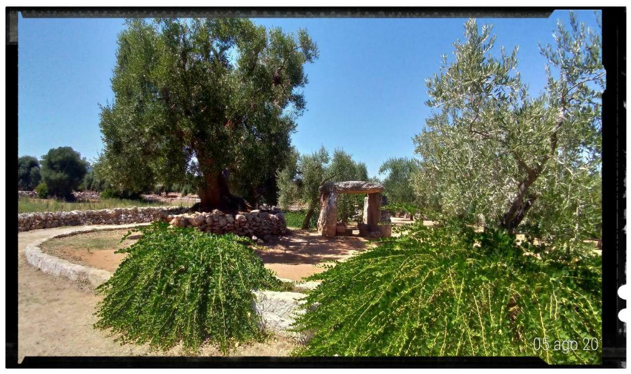 Dimora Torre Bianca Βίλα Ostuni Εξωτερικό φωτογραφία